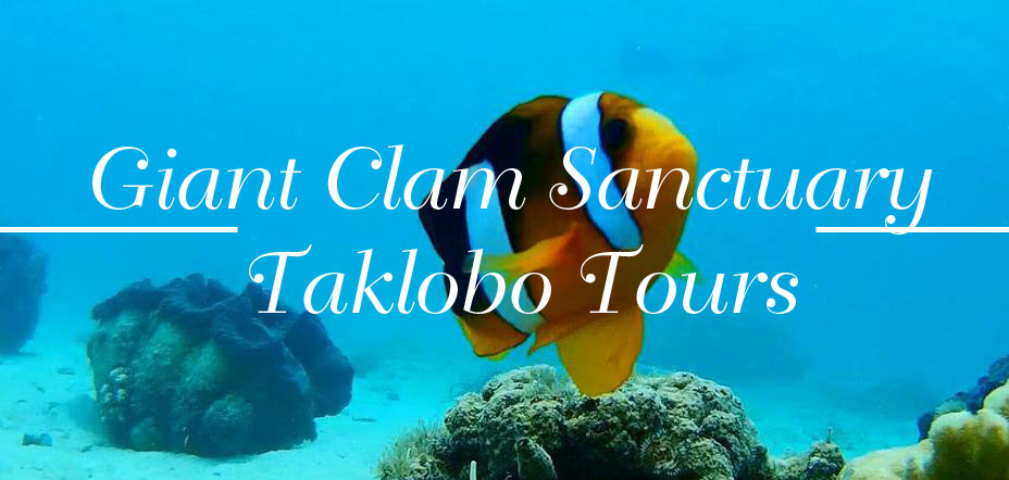Giant Clam Sanctuary – Snorkeling with the Giants