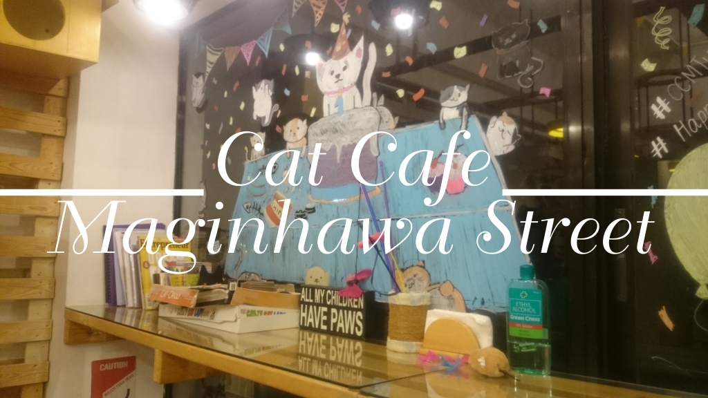 Cat Cafe Manila in Maginhawa St.